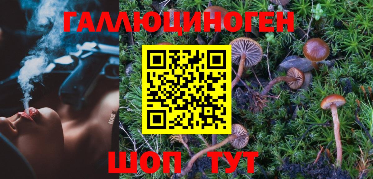 Псилоцибиновые грибы Psilocybine cubensis Ноябрьск