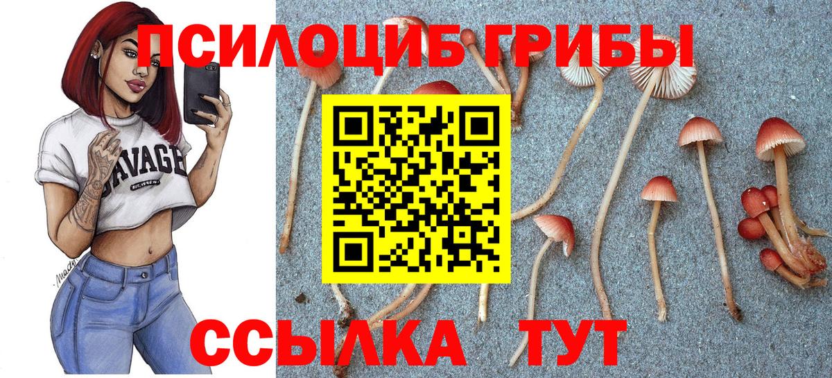 купить   Псилоцибиновые грибы Cubensis  Вход с VPN  Ноябрьск 